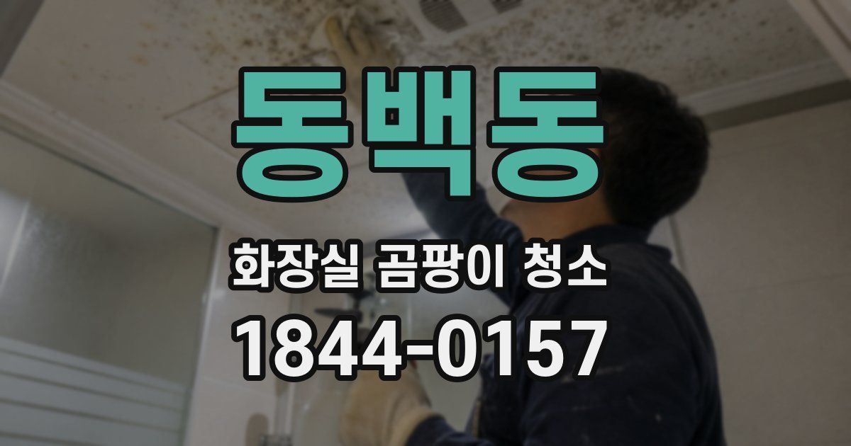 동백동 화장실 곰팡이 청소