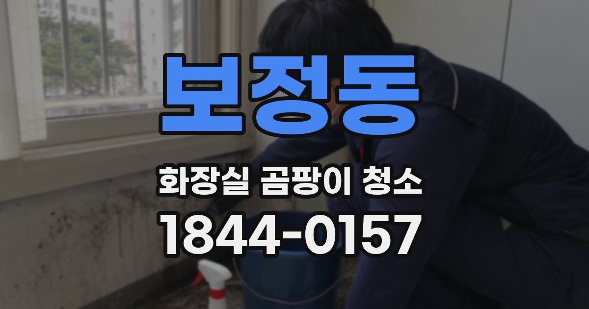 보정동 화장실 곰팡이 청소