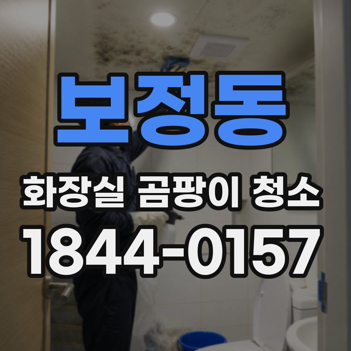 보정동 화장실 곰팡이 청소
