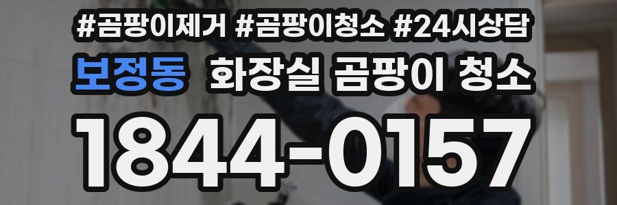 보정동 화장실 곰팡이 청소