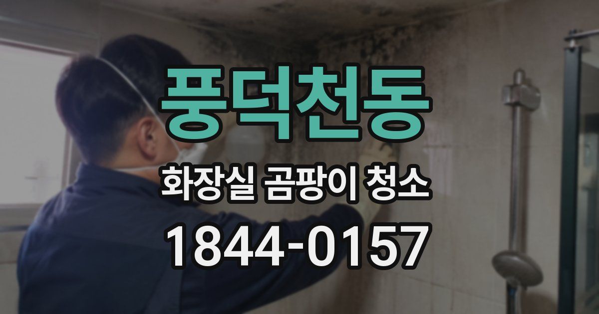 풍덕천동 화장실 곰팡이 청소
