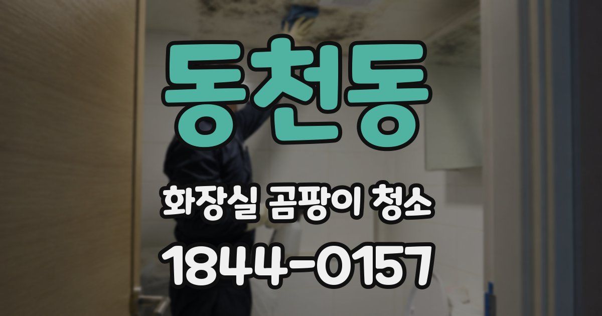 동천동 화장실 곰팡이 청소