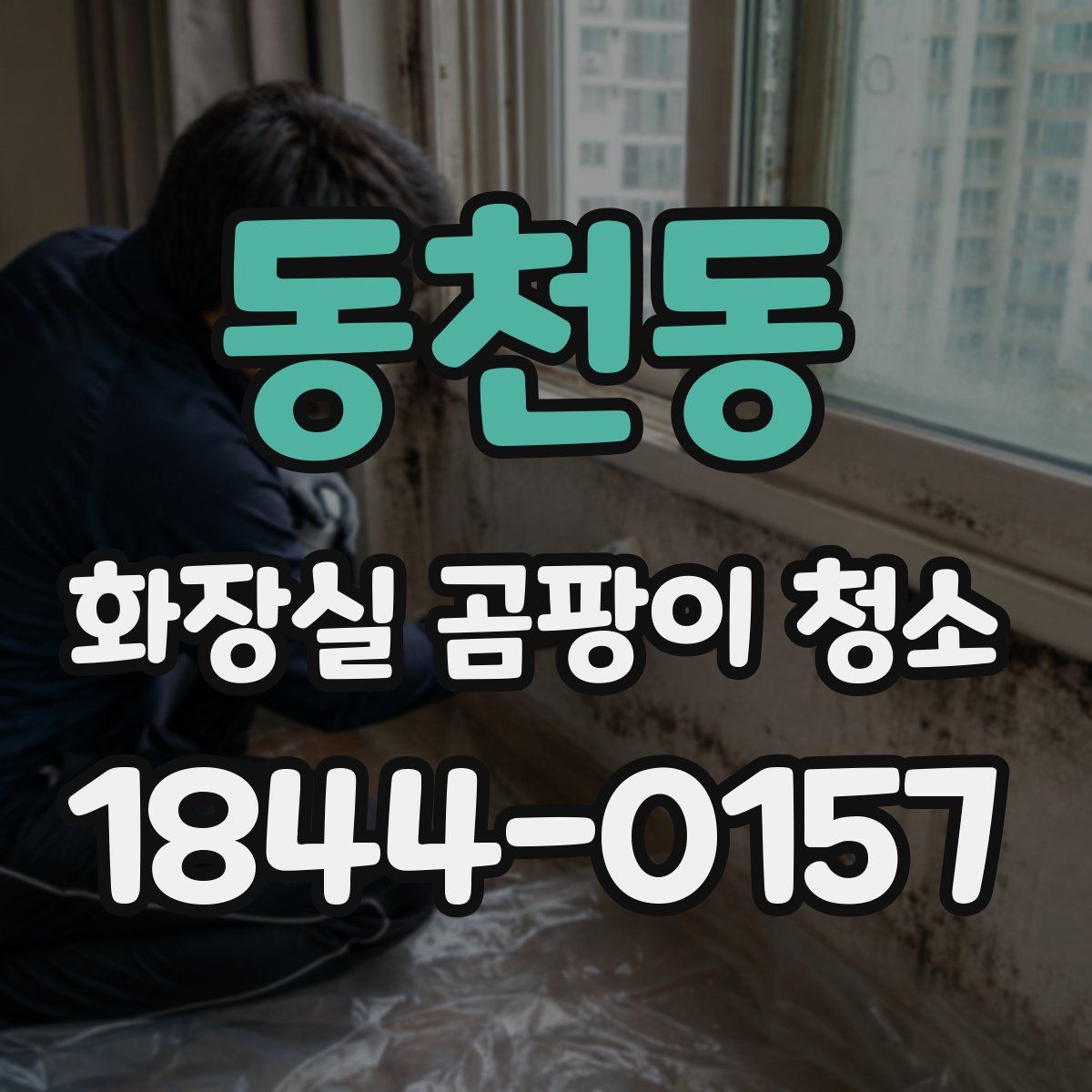 동천동 화장실 곰팡이 청소