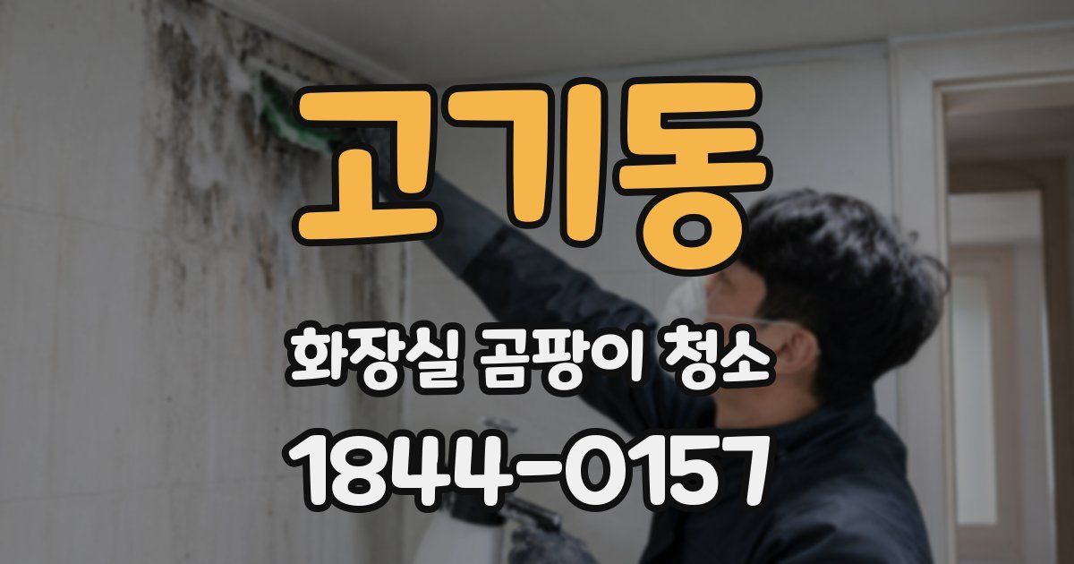 고기동 화장실 곰팡이 청소