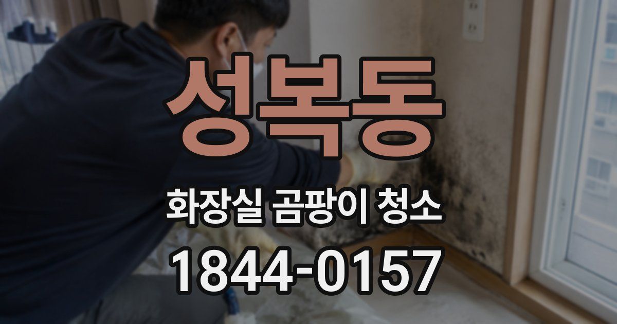 성복동 화장실 곰팡이 청소