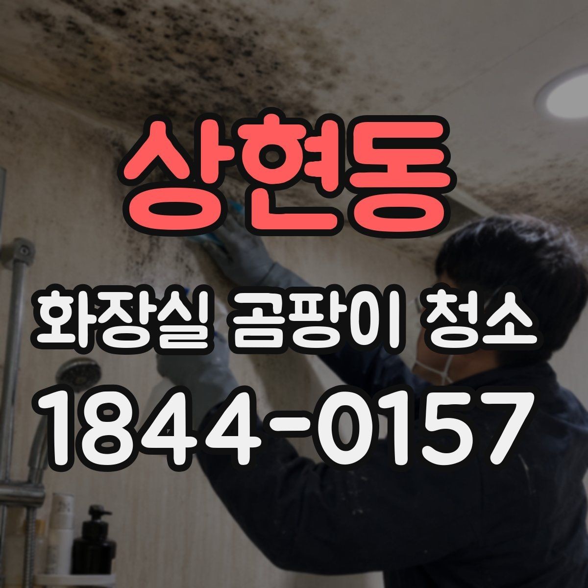 상현동 화장실 곰팡이 청소 얼룩이 반복되는 위치를 살피는 기준