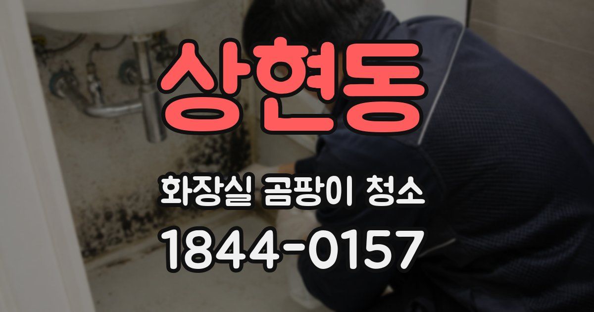 상현동 화장실 곰팡이 청소