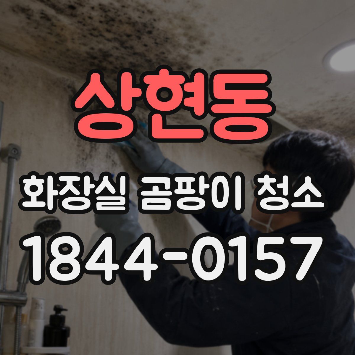 상현동 화장실 곰팡이 청소