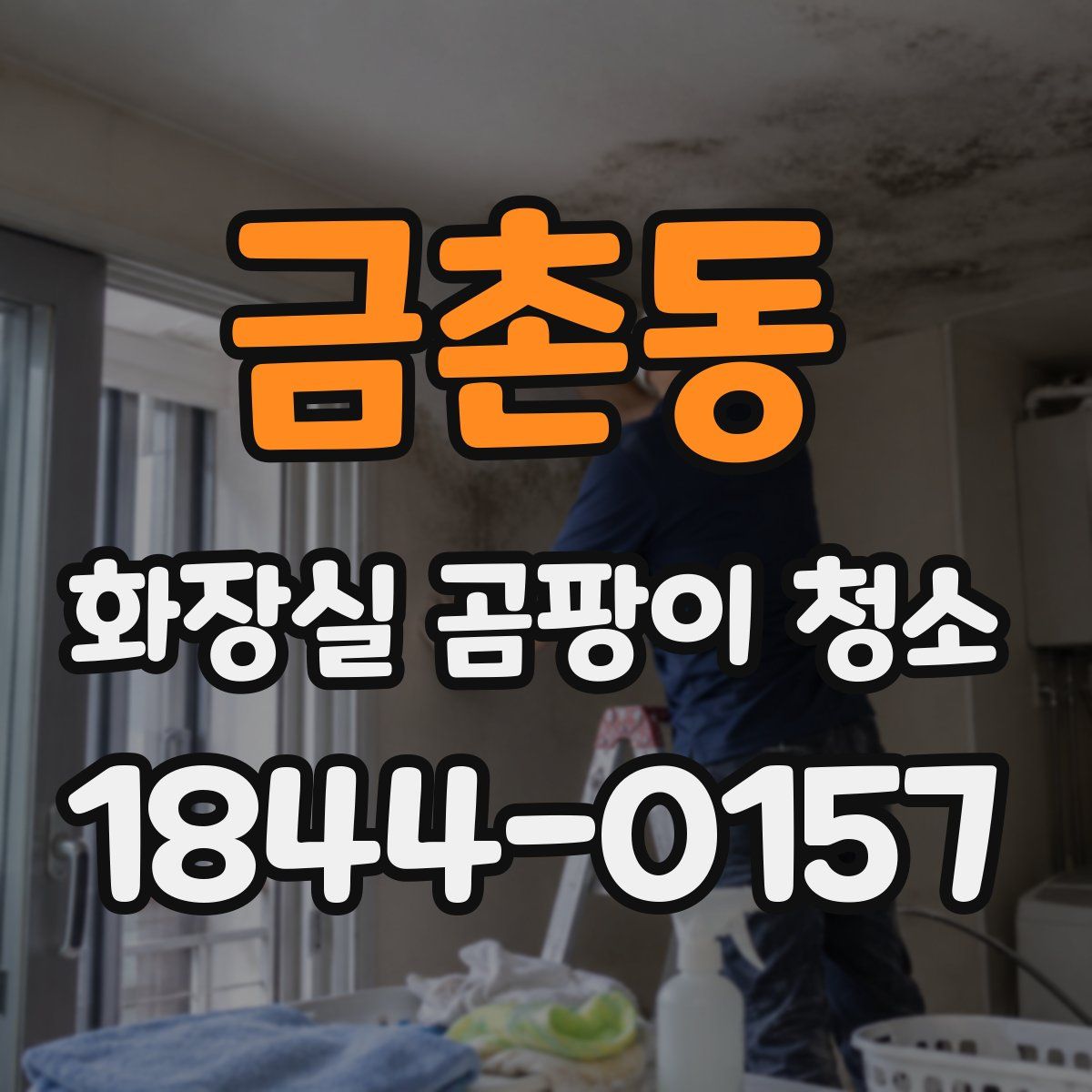 금촌동 화장실 곰팡이 청소