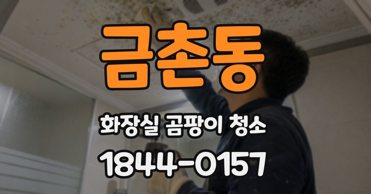 금촌동 화장실 곰팡이 청소