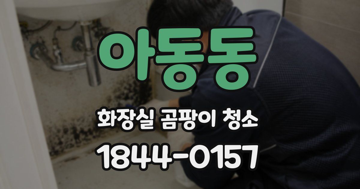 아동동 화장실 곰팡이 청소