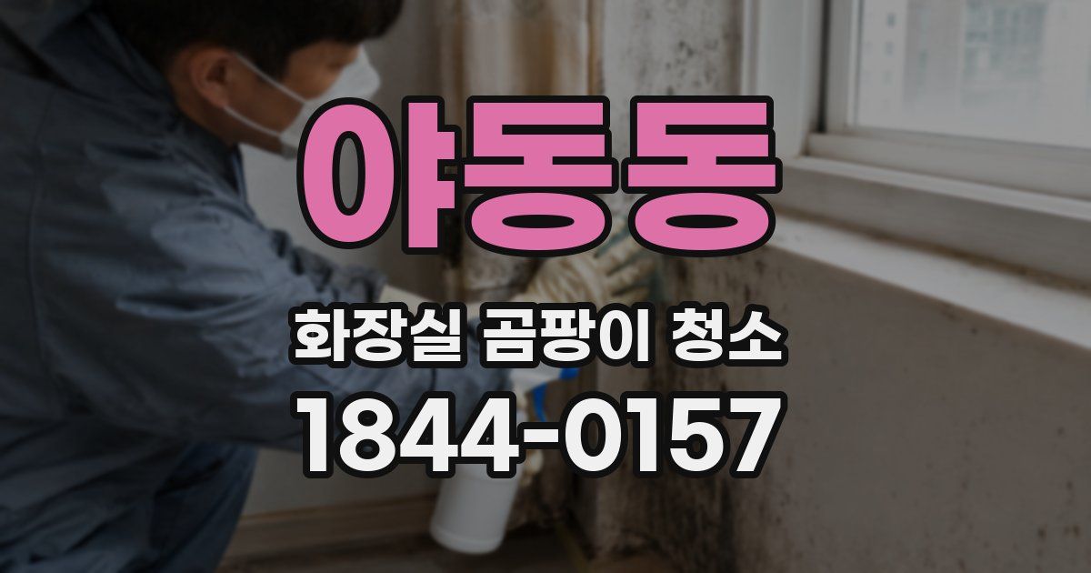 야동동 화장실 곰팡이 청소