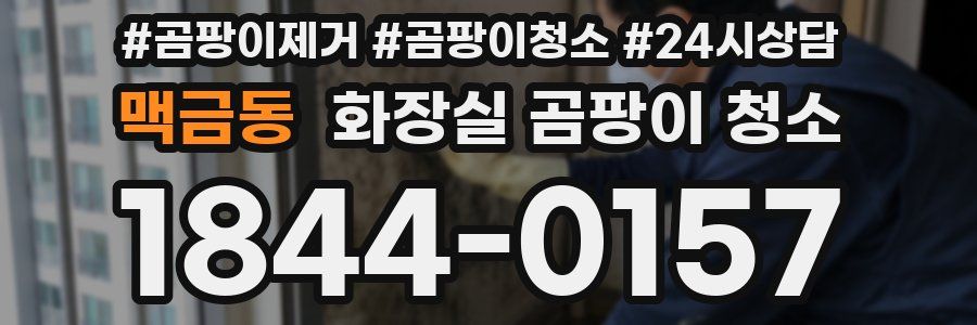 맥금동 화장실 곰팡이 청소