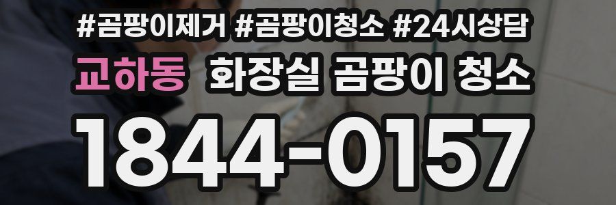 교하동 화장실 곰팡이 청소