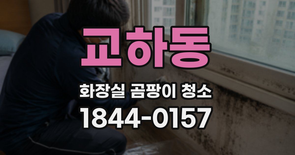 교하동 화장실 곰팡이 청소