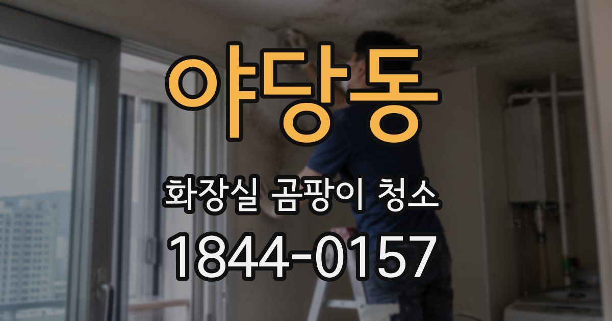 야당동 화장실 곰팡이 청소