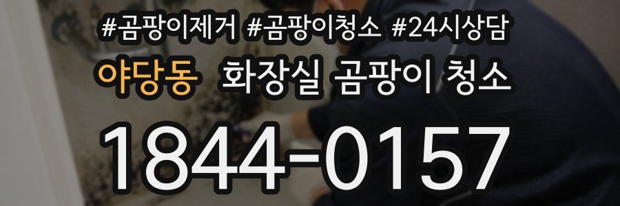야당동 화장실 곰팡이 청소