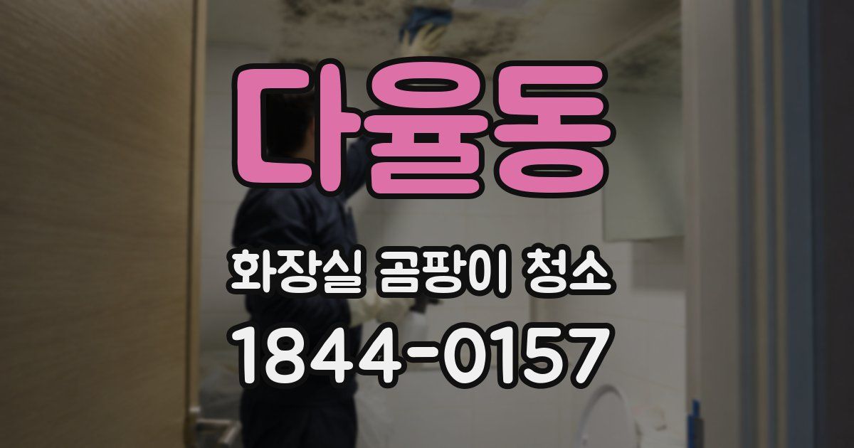 다율동 화장실 곰팡이 청소