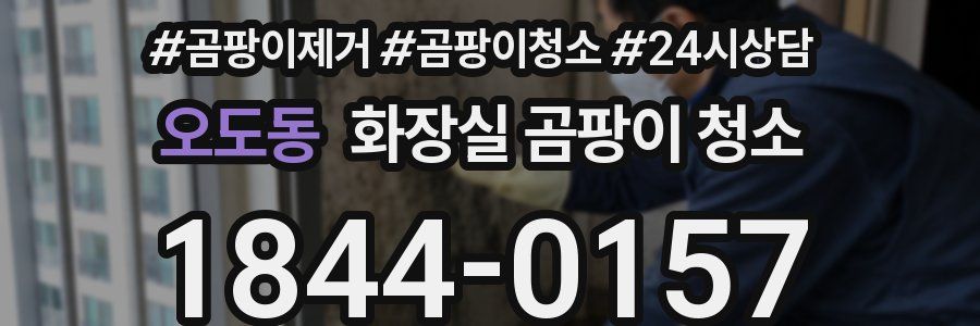 오도동 화장실 곰팡이 청소