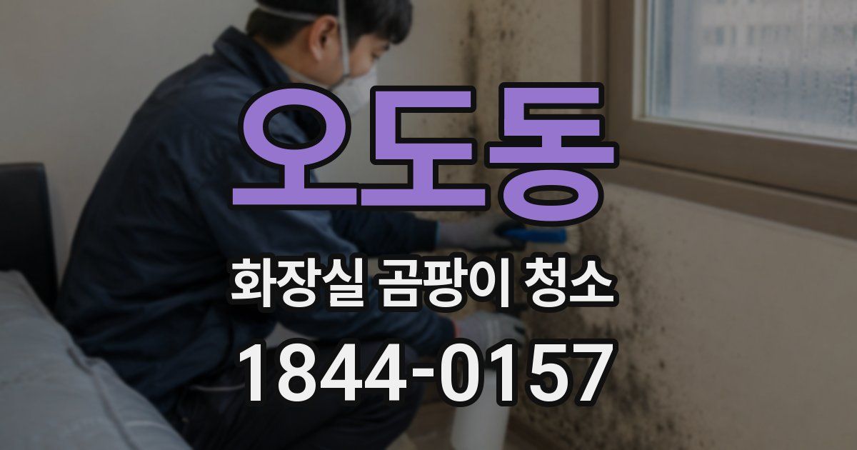 오도동 화장실 곰팡이 청소