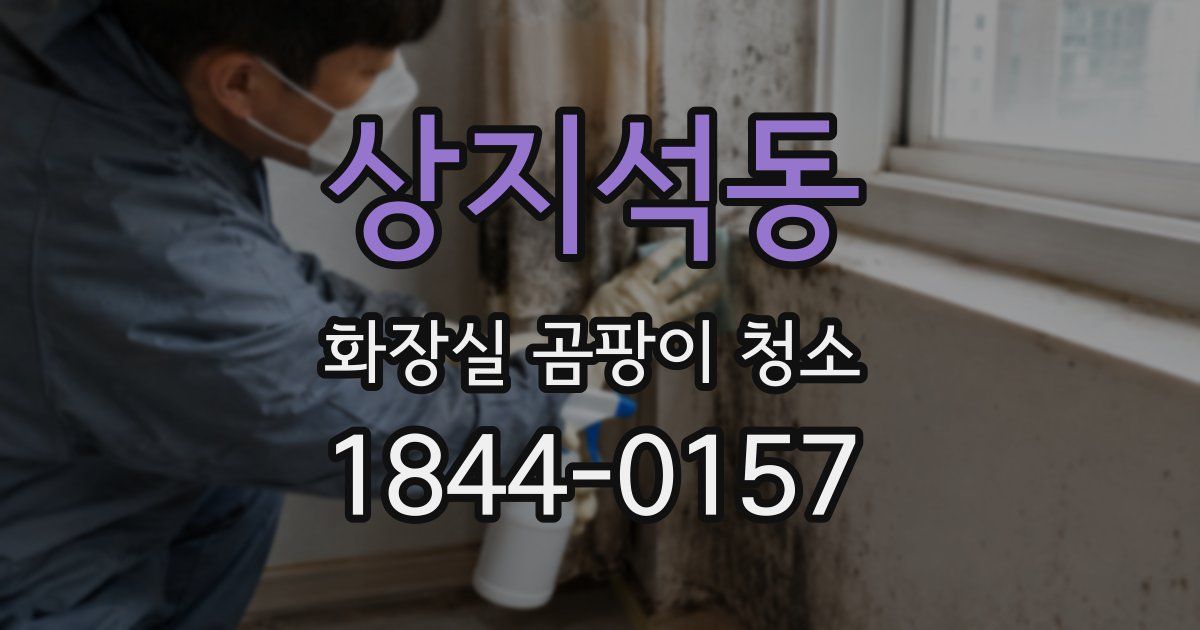상지석동 화장실 곰팡이 청소