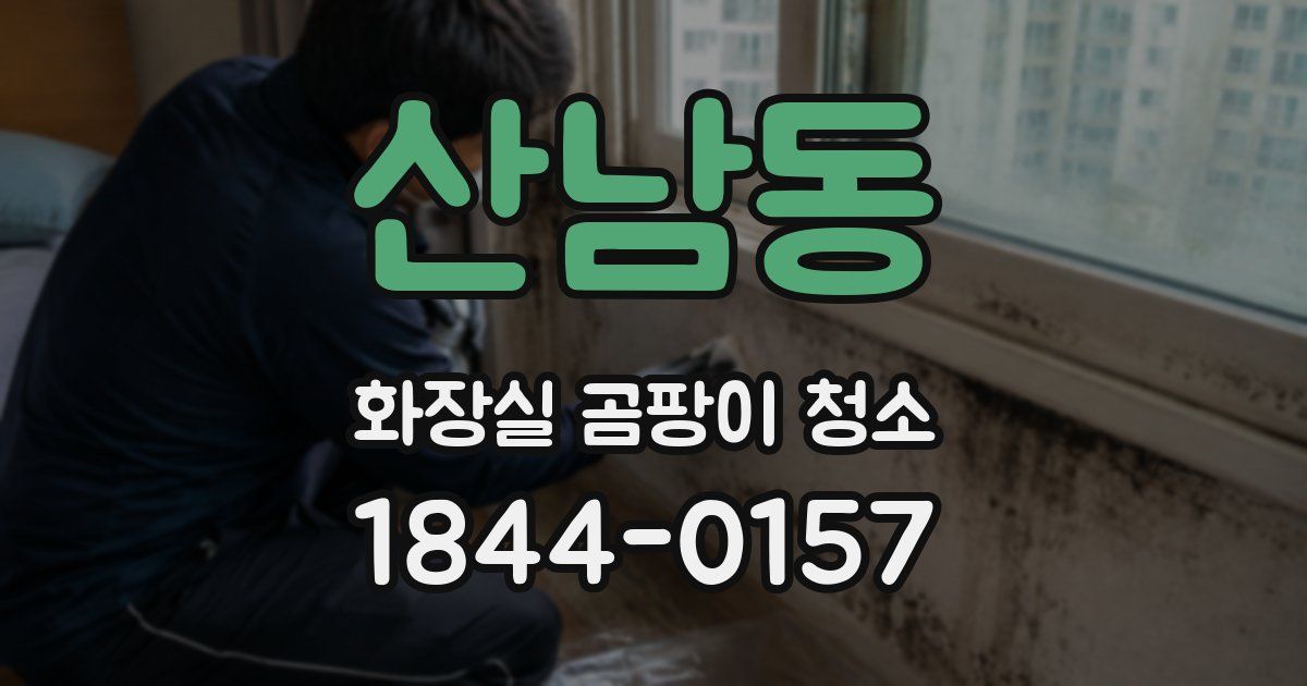 산남동 화장실 곰팡이 청소
