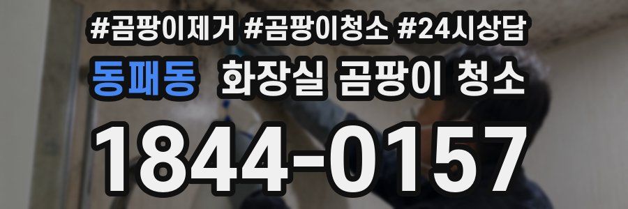 동패동 화장실 곰팡이 청소