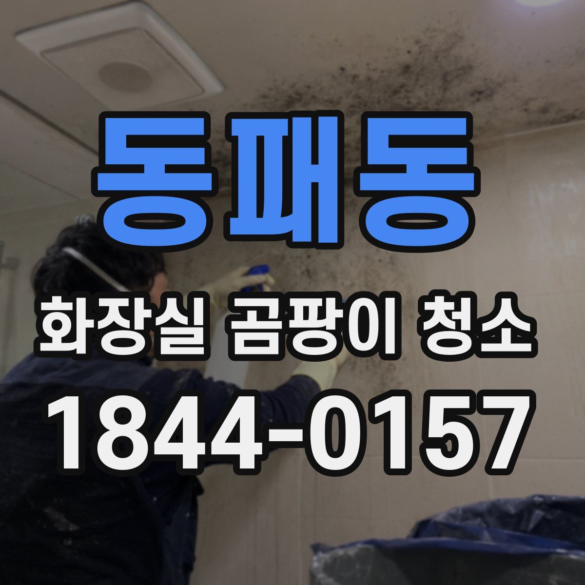 동패동 화장실 곰팡이 청소