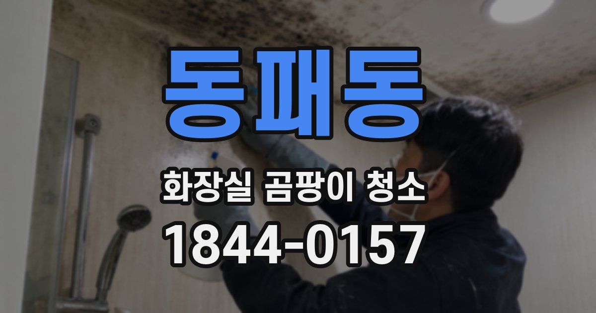 동패동 화장실 곰팡이 청소