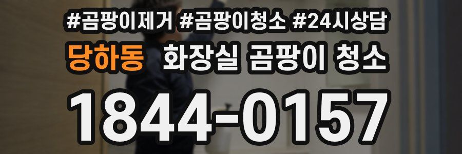 당하동 화장실 곰팡이 청소