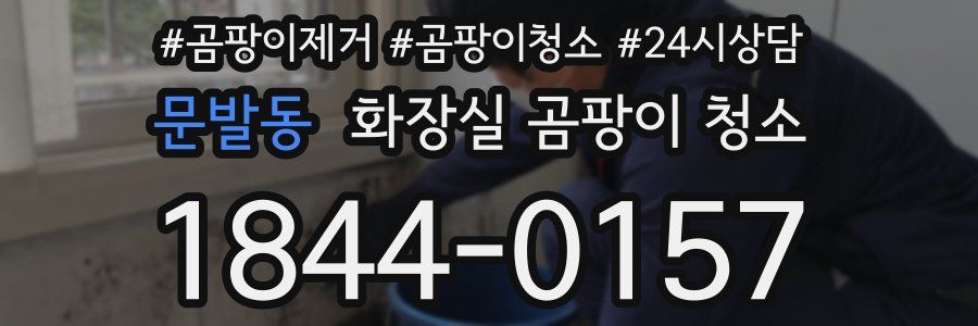 문발동 화장실 곰팡이 청소