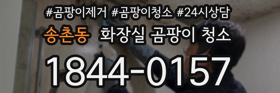 송촌동 화장실 곰팡이 청소