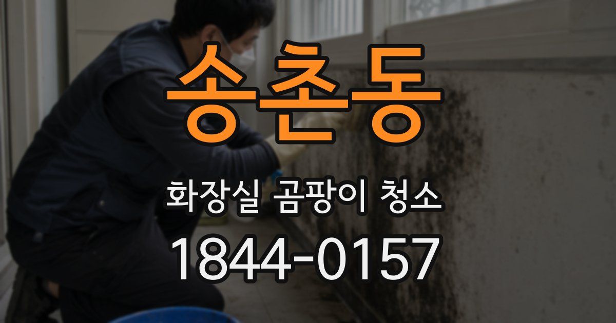 송촌동 화장실 곰팡이 청소