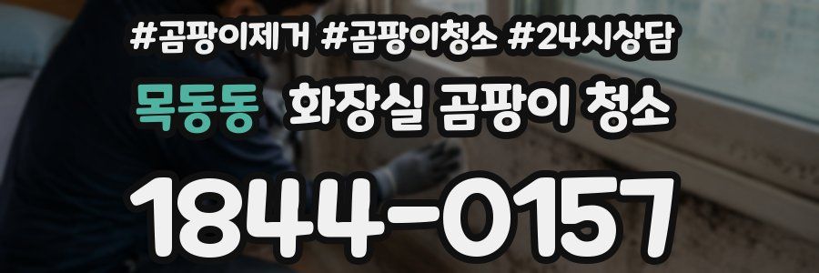 목동동 화장실 곰팡이 청소
