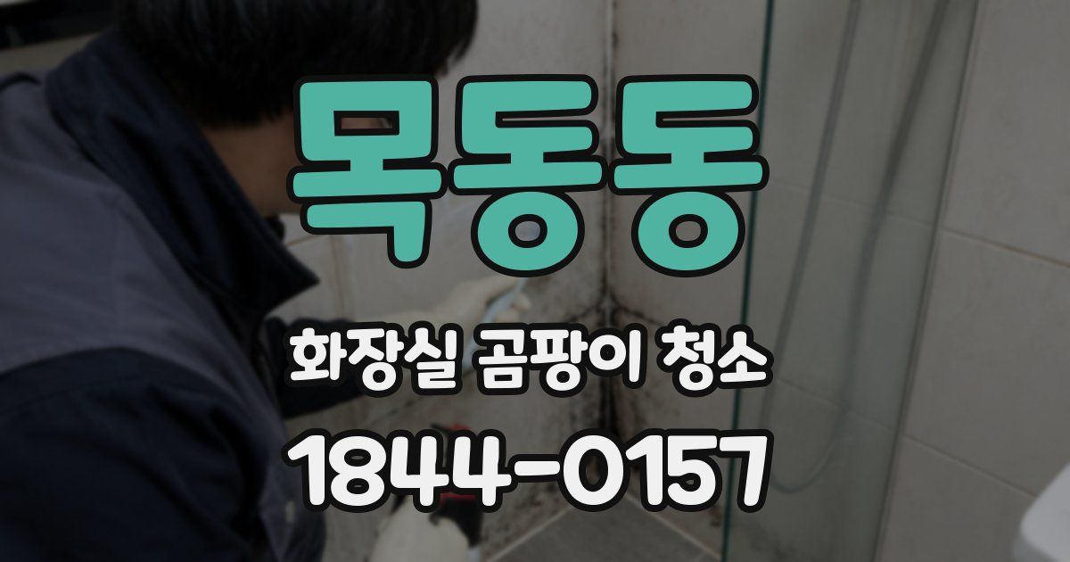 목동동 화장실 곰팡이 청소