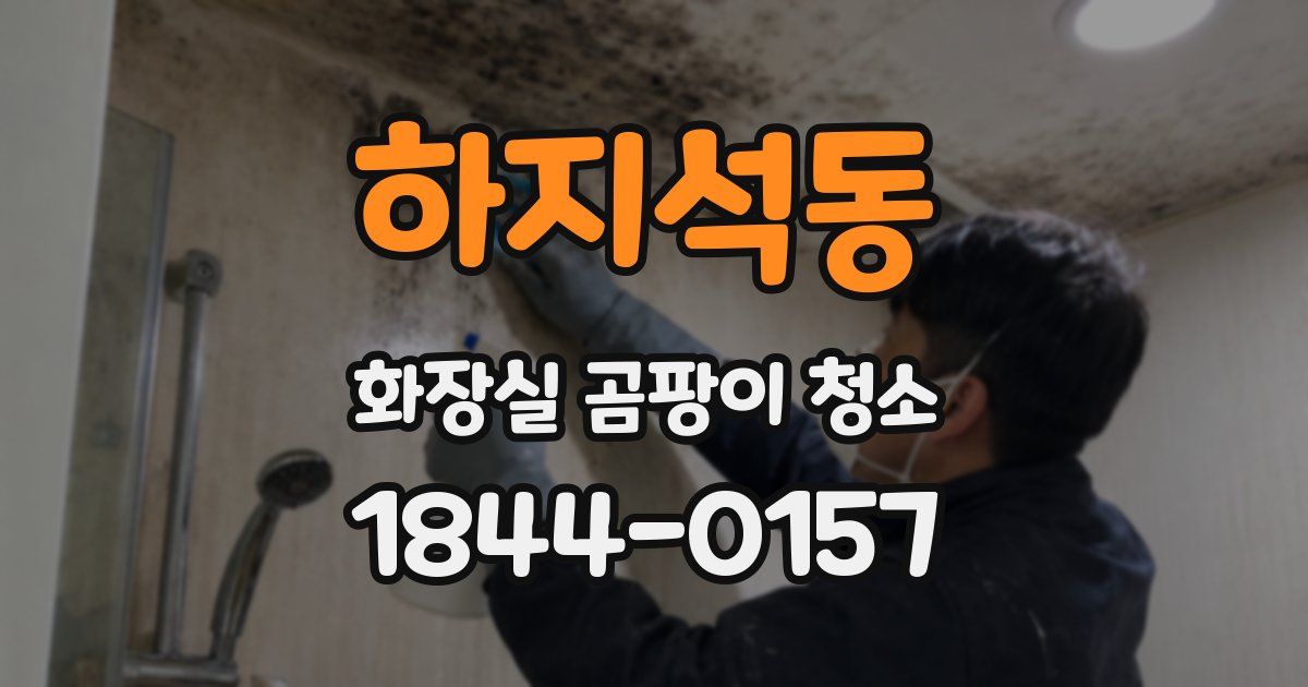하지석동 화장실 곰팡이 청소