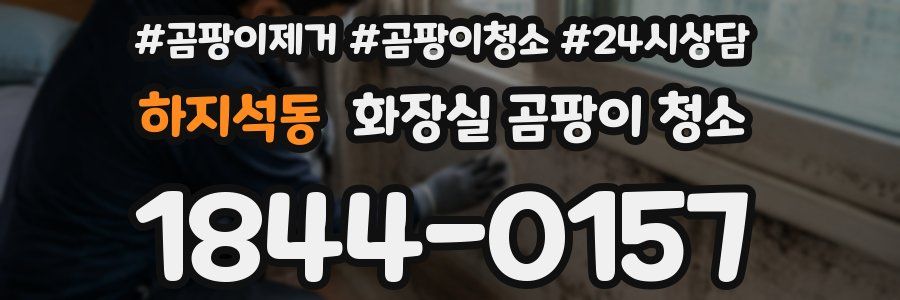 하지석동 화장실 곰팡이 청소