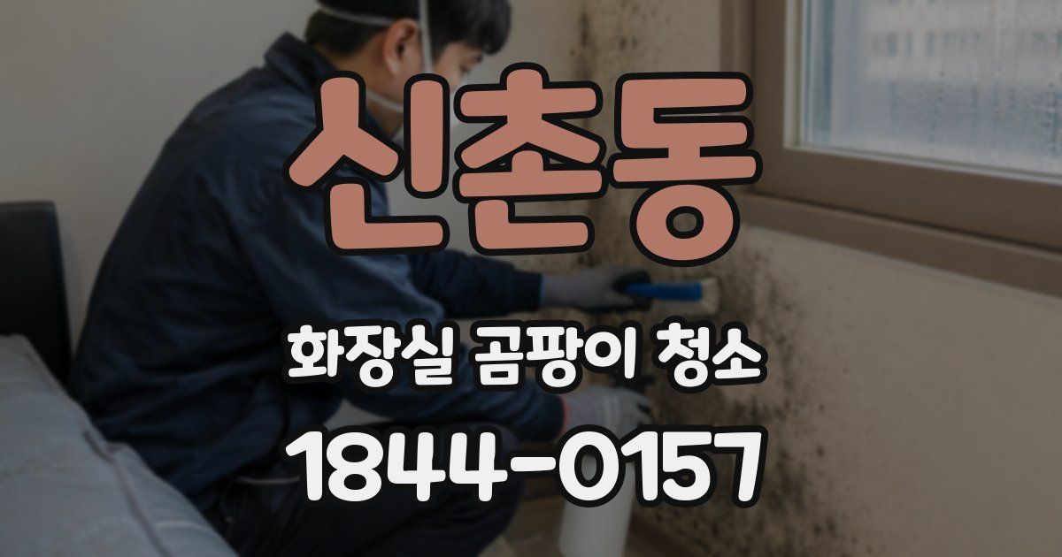 신촌동 화장실 곰팡이 청소