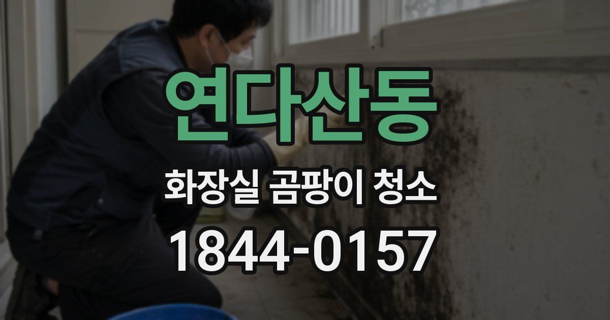 연다산동 화장실 곰팡이 청소