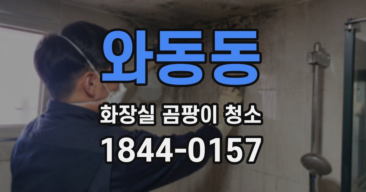 와동동 화장실 곰팡이 청소