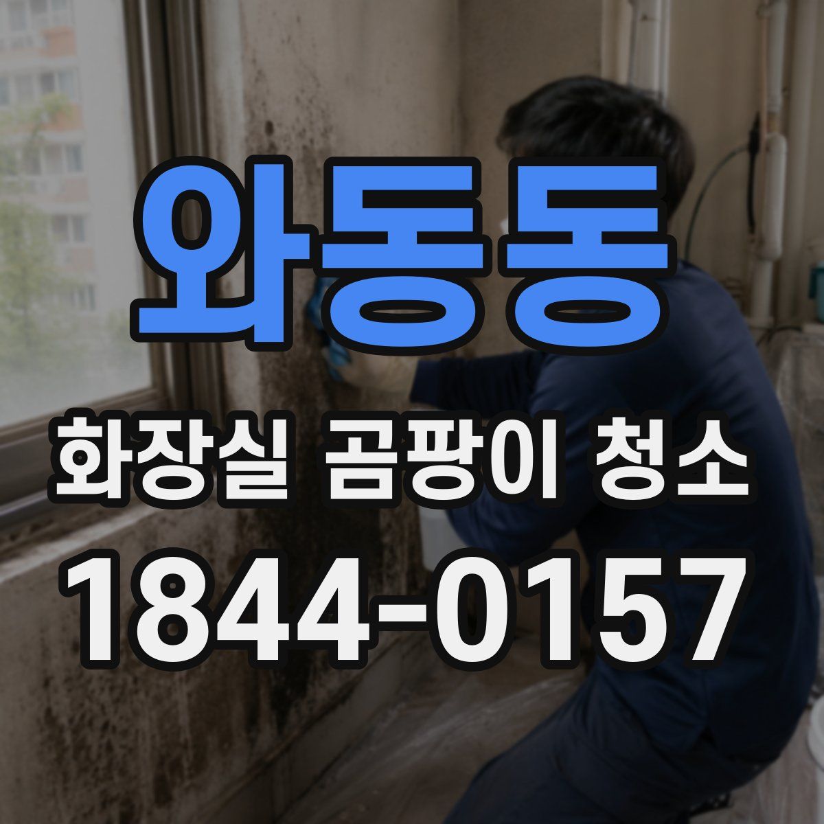 와동동 화장실 곰팡이 청소