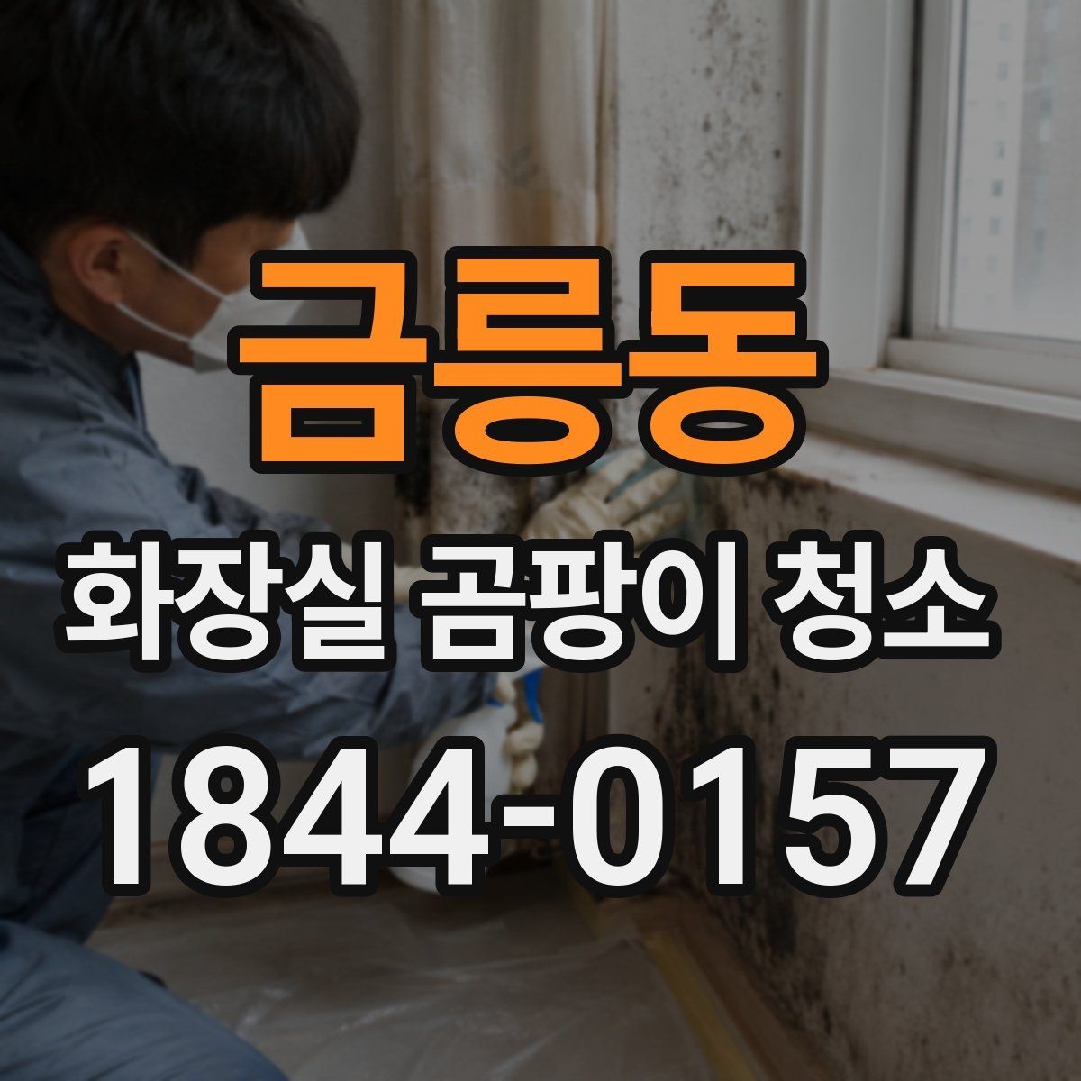 금릉동 화장실 곰팡이 청소 환기 부족한 화장실의 현실적인 방법