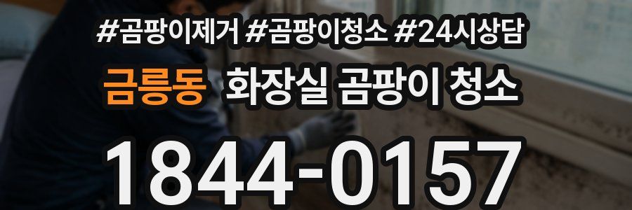 금릉동 화장실 곰팡이 청소