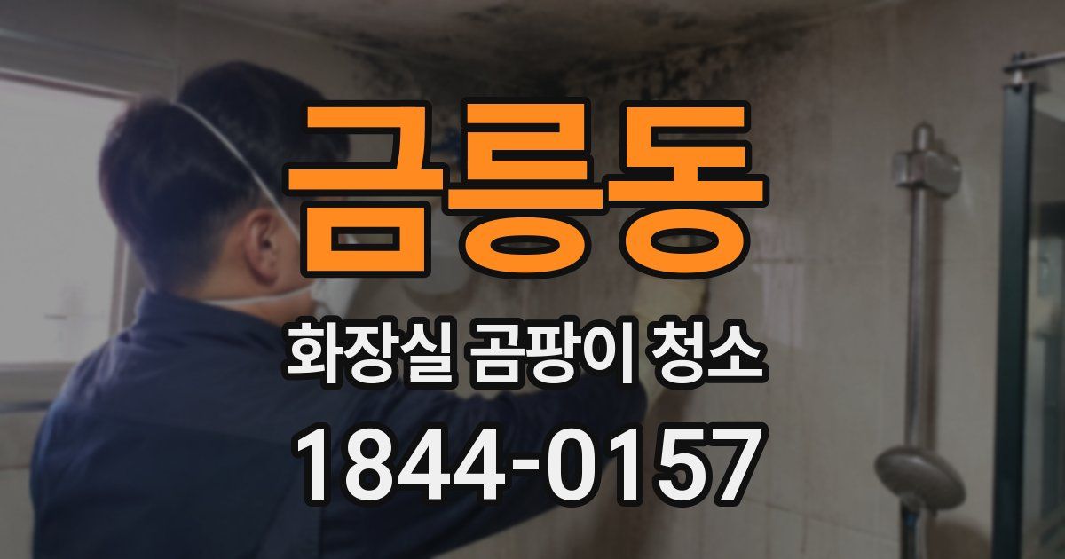 금릉동 화장실 곰팡이 청소