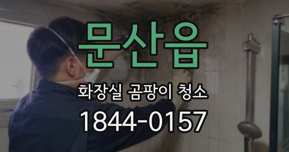 문산읍 화장실 곰팡이 청소