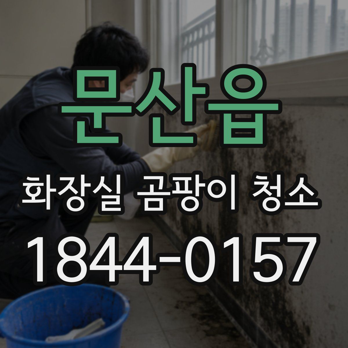 문산읍 화장실 곰팡이 청소