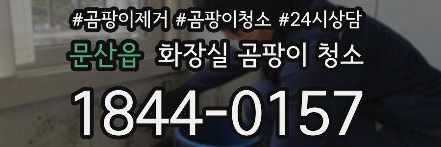 문산읍 화장실 곰팡이 청소