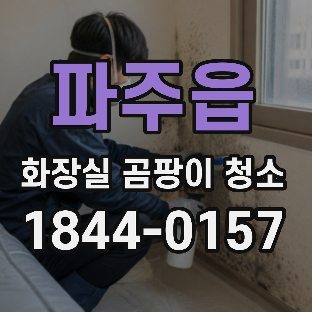 파주읍 화장실 곰팡이 청소