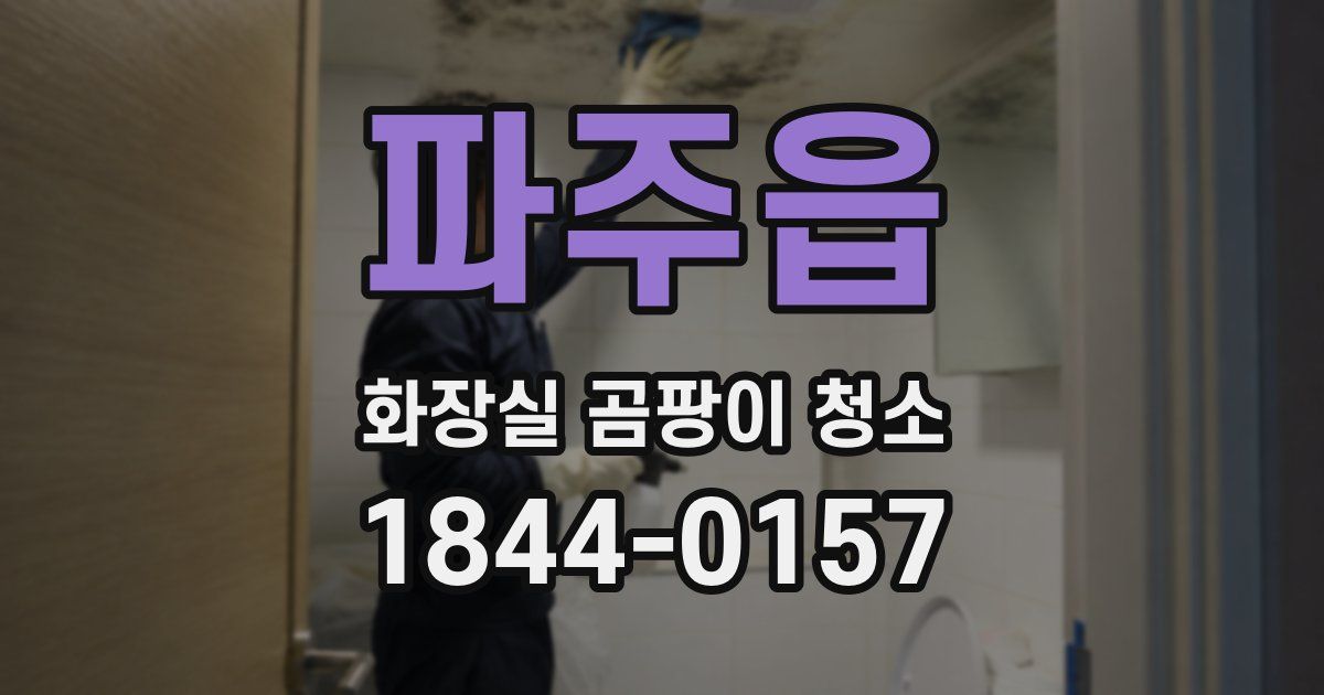 파주읍 화장실 곰팡이 청소