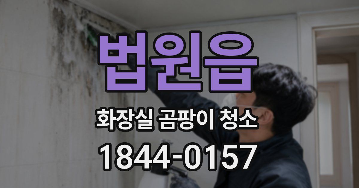 법원읍 화장실 곰팡이 청소